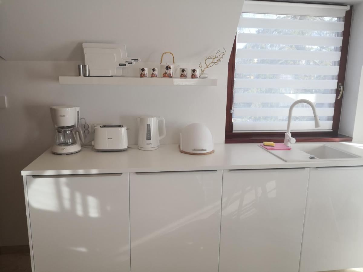 Willa Nika, Apartamenty Ζακοπάνε Εξωτερικό φωτογραφία